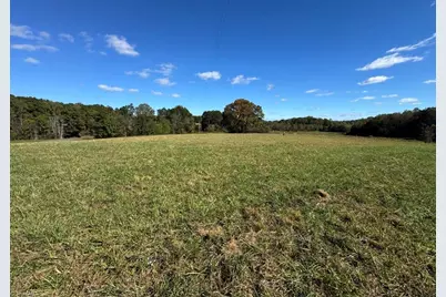 876 Rock Hill Church Road, Ararat, NC 27007 - Photo 3