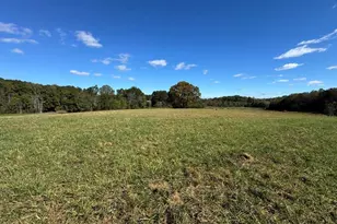 876 Rock Hill Church Rd, Ararat, NC 27007 - Photo 3