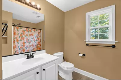 223 Twin Creeks Drive, Stokesdale, NC 27357 - Photo 17