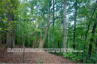 1960 Rich Mountain Road, Morganton, NC 28655 - Photo 5