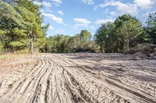 130 150 169 and 0 Myers Dr, Candor, NC 27229 - Photo 3