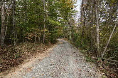 731 Mineral Springs Road, Madison, NC 27025 - Photo 49