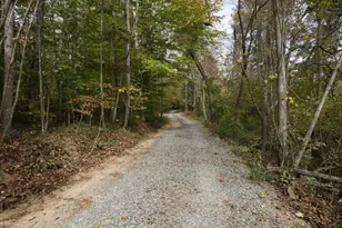 731 Mineral Springs Rd, Madison, NC 27025 - Photo 49