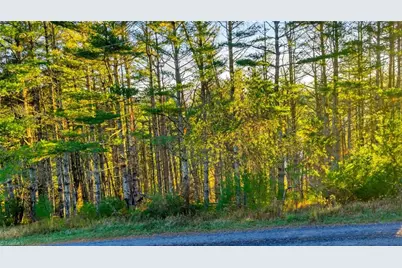 Tbd - 18 Davis Acres Drive, West Jefferson, NC 28694 - Photo 9