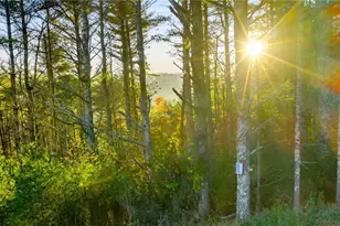 Tbd 19 Davis Acres Dr, West Jefferson, NC 28694 - Photo 1