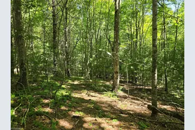 Tbd 50 Deer Spring Lane, West Jefferson, NC 28694 - Photo 3