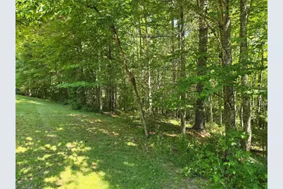Tbd 50 Deer Spring Lane, West Jefferson, NC 28694 - Photo 5