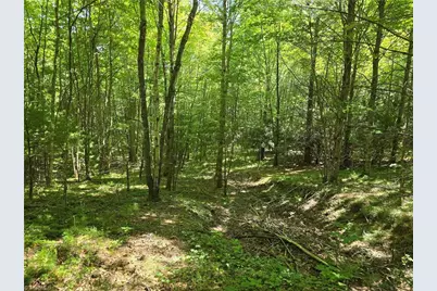 Tbd 50 Deer Spring Lane, West Jefferson, NC 28694 - Photo 1