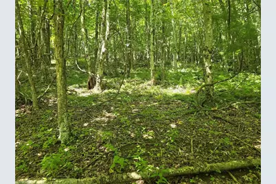 Tbd 66 White Tail Trail, West Jefferson, NC 28694 - Photo 3