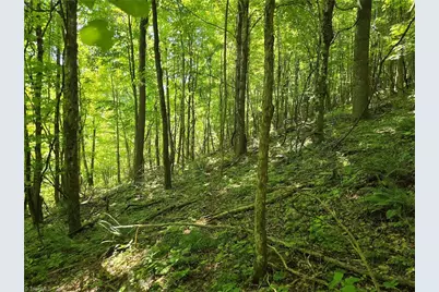 Tbd 66 White Tail Trail, West Jefferson, NC 28694 - Photo 5