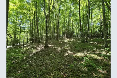 Tbd 76 White Tail Trail, West Jefferson, NC 28694 - Photo 3
