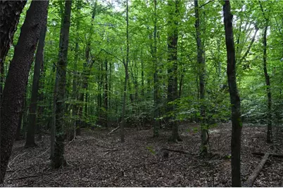 183 E Aiken Road, Eden, NC 27288 - Photo 45