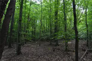 183 E Aiken Rd, Eden, NC 27288 - Photo 45