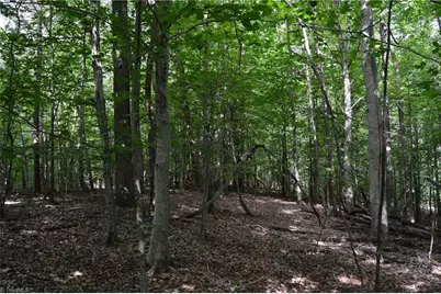 183 E Aiken Road, Eden, NC 27288 - Photo 39