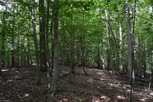 183 E Aiken Rd, Eden, NC 27288 - Photo 39