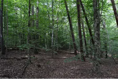 183 E Aiken Road, Eden, NC 27288 - Photo 41