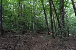 183 E Aiken Rd, Eden, NC 27288 - Photo 41