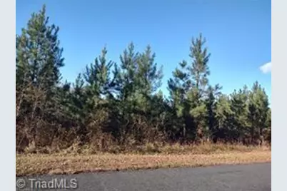 114 Harborgate Drive, Denton, NC 27239 - Photo 1