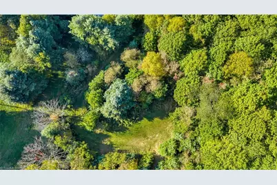 Tbd Mulatto Mountain Road, West Jefferson, NC 28694 - Photo 5