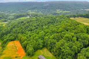 2351 US Hwy 221, Jefferson, NC 28640 - Photo 47