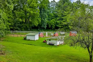 2351 US Hwy 221, Jefferson, NC 28640 - Photo 5