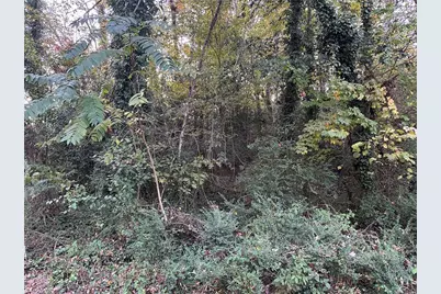 000 Old Childress Avenue, Mount Airy, NC 27030 - Photo 5