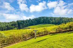 354 Old Wilkes Rd, Glendale Springs, NC 28629 - Photo 45