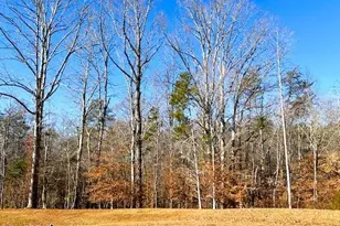 6801 Capstone Ct, Rural Hall, NC 27045 - Photo 31