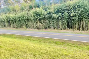 1079 Suncrest Orchard Rd, North Wilkesboro, NC 28659 - Photo 29