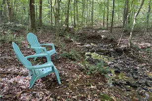 301 Zeb Ferguson Rd, Siler City, NC 27344 - Photo 27