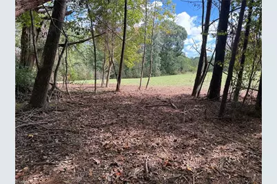 301 Zeb Ferguson Road, Siler City, NC 27344 - Photo 31