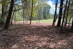 301 Zeb Ferguson Rd, Siler City, NC 27344 - Photo 31