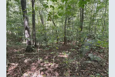 301 Zeb Ferguson Road, Siler City, NC 27344 - Photo 29