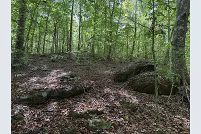 301 Zeb Ferguson Road, Siler City, NC 27344 - Photo 25