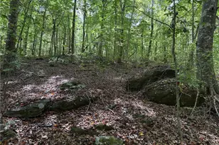 301 Zeb Ferguson Rd, Siler City, NC 27344 - Photo 25