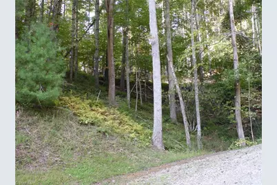 Tbd Woodlands Drive, Piney Creek, NC 28663 - Photo 5