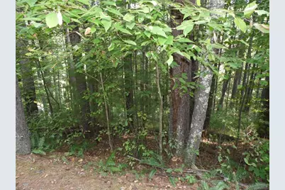 Tbd Woodlands Drive, Piney Creek, NC 28663 - Photo 3