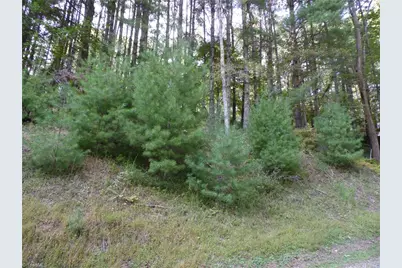 Tbd Woodlands Drive, Piney Creek, NC 28663 - Photo 1
