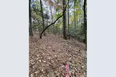 375 Ed Nixon Road, Thurmond, NC 28683 - Photo 25