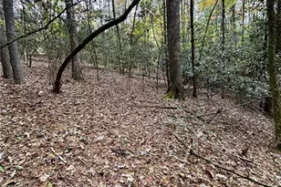 375 Ed Nixon Rd, Thurmond, NC 28683 - Photo 25