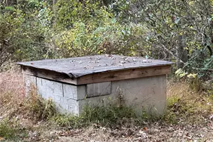 375 Ed Nixon Rd, Thurmond, NC 28683 - Photo 9