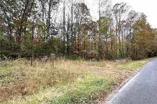 375 Ed Nixon Rd, Thurmond, NC 28683 - Photo 11