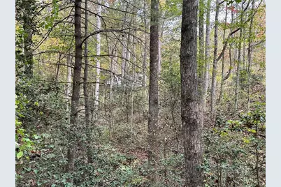 375 Ed Nixon Road, Thurmond, NC 28683 - Photo 27