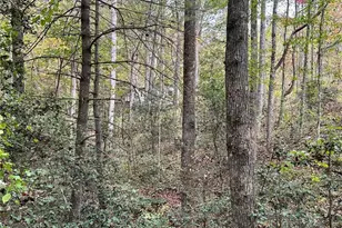 375 Ed Nixon Rd, Thurmond, NC 28683 - Photo 27