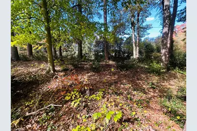 Tbd Old Springs Road, Mount Airy, NC 27030 - Photo 13