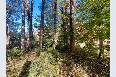 Tbd Old Springs Road, Mount Airy, NC 27030 - Photo 7