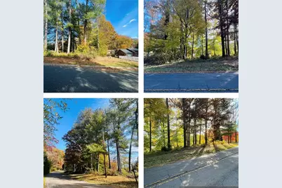 Tbd Old Springs Road, Mount Airy, NC 27030 - Photo 1