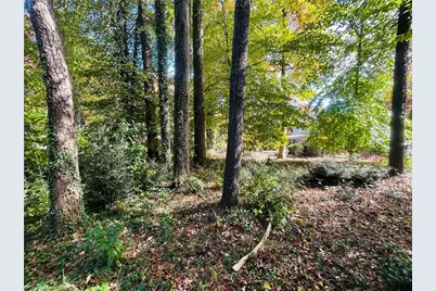 Tbd Old Springs Road, Mount Airy, NC 27030 - Photo 7