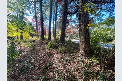 Tbd Old Springs Road, Mount Airy, NC 27030 - Photo 11