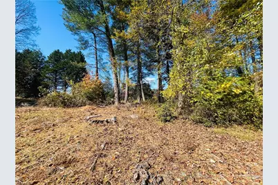 Tbd Old Springs Road, Mount Airy, NC 27030 - Photo 11